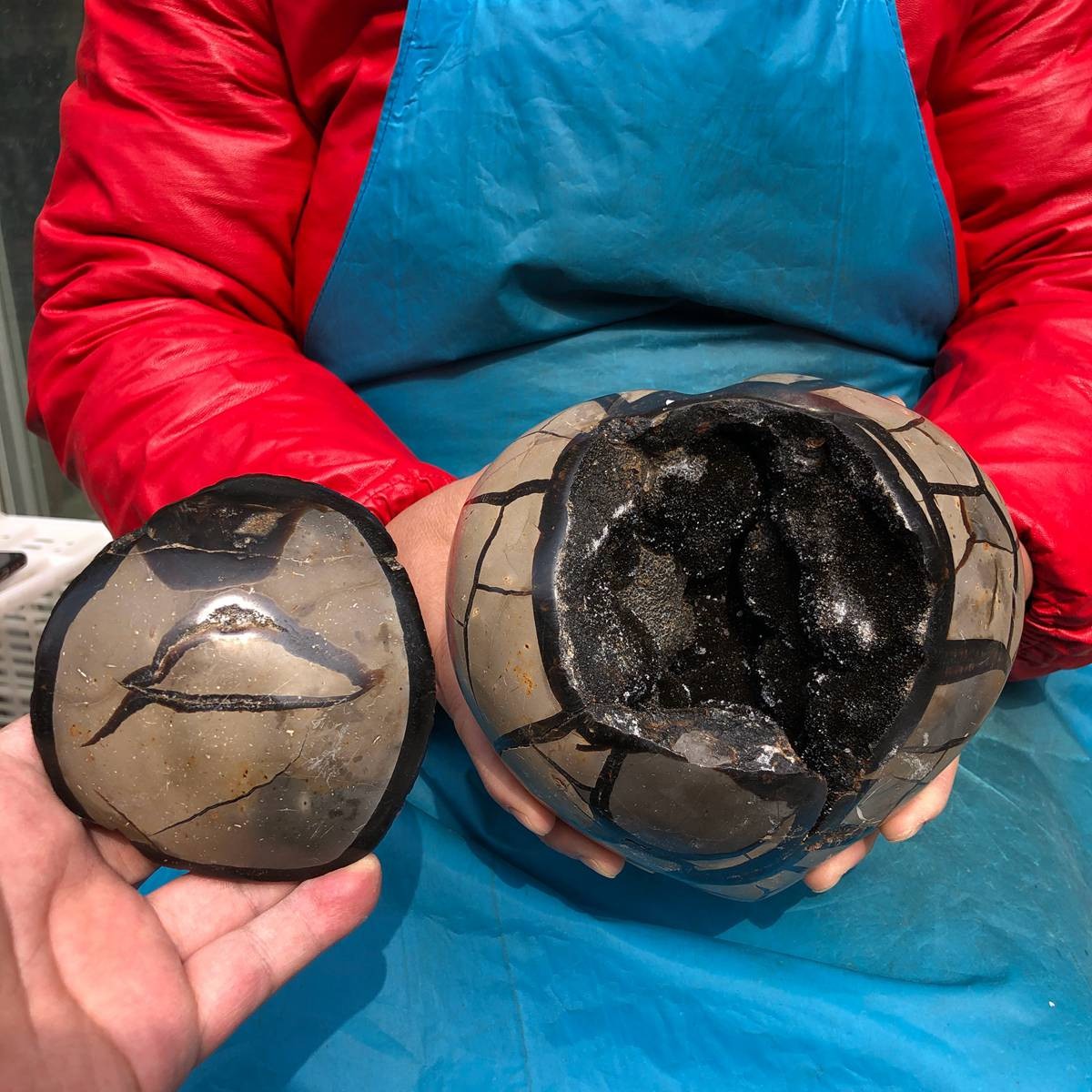 9.21LB Natural Turtle Back Stone Hole Shape Dragon Crystal Crack Reiki Healing