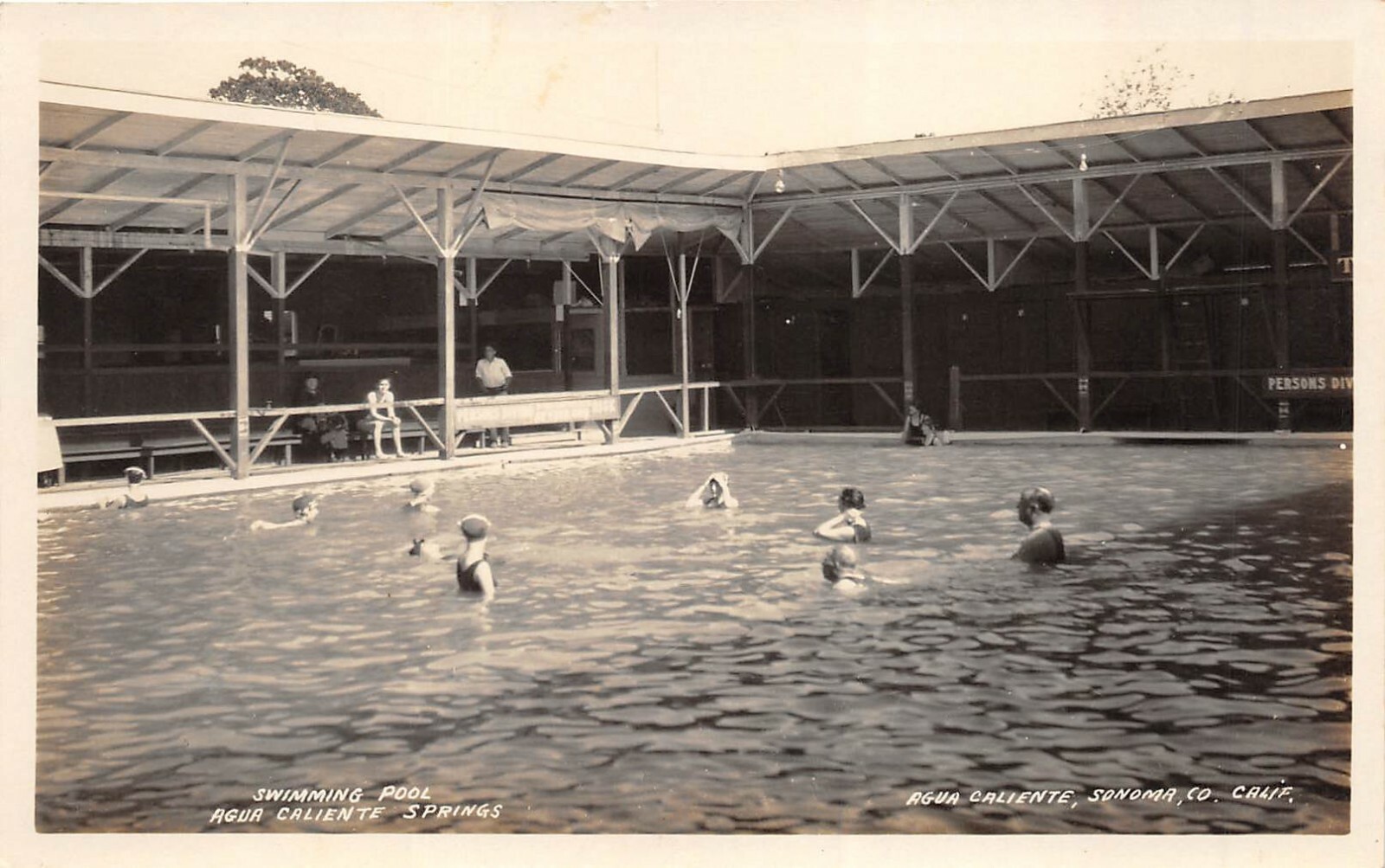 Agua Caliente Springs California 1920s RPPC Real Photo Postcard Pool Sonoma Co