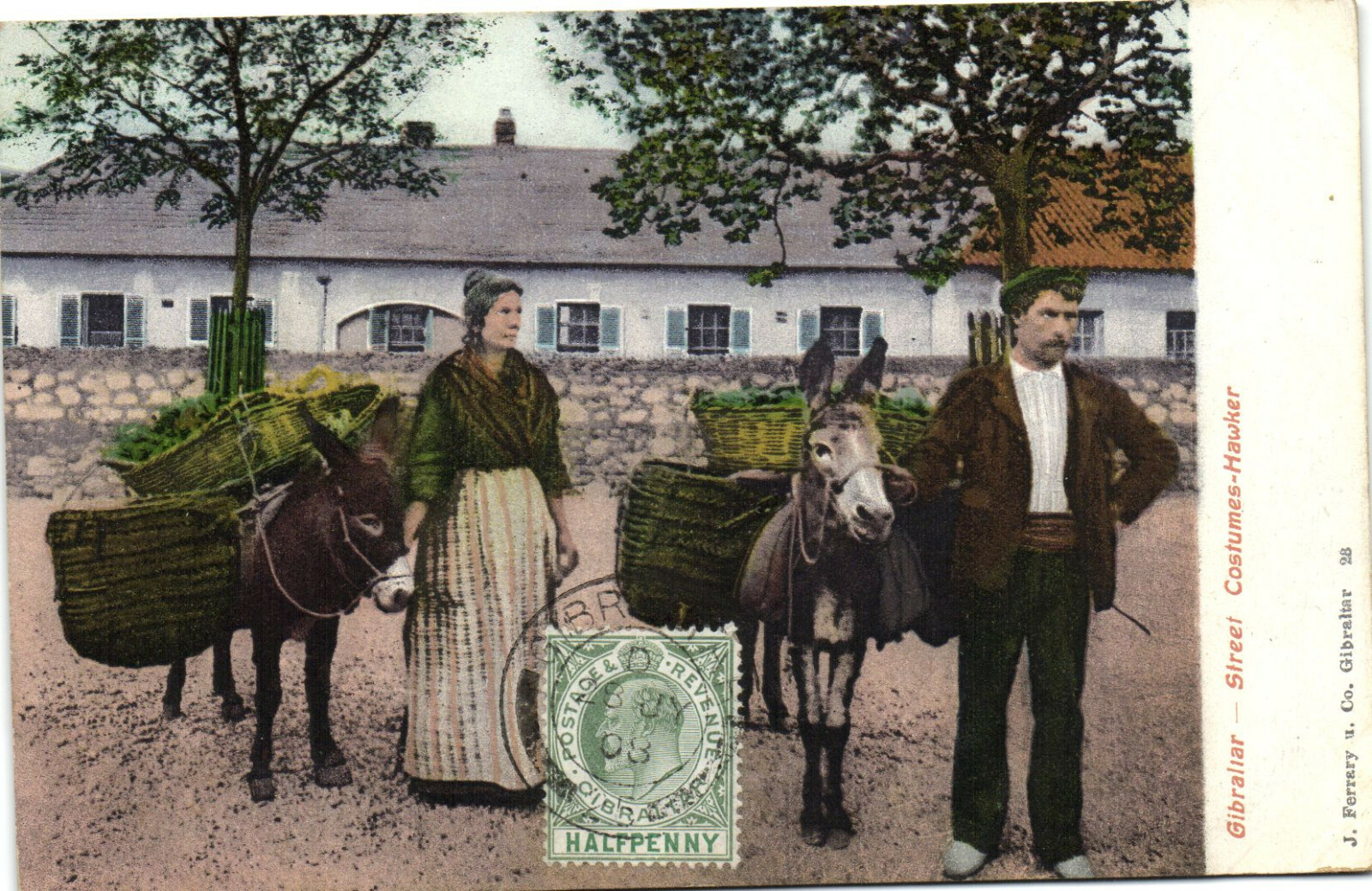 PC GIBRALTAR, STREET COSTUMES HAWKER, Vintage Postcard (b30346)