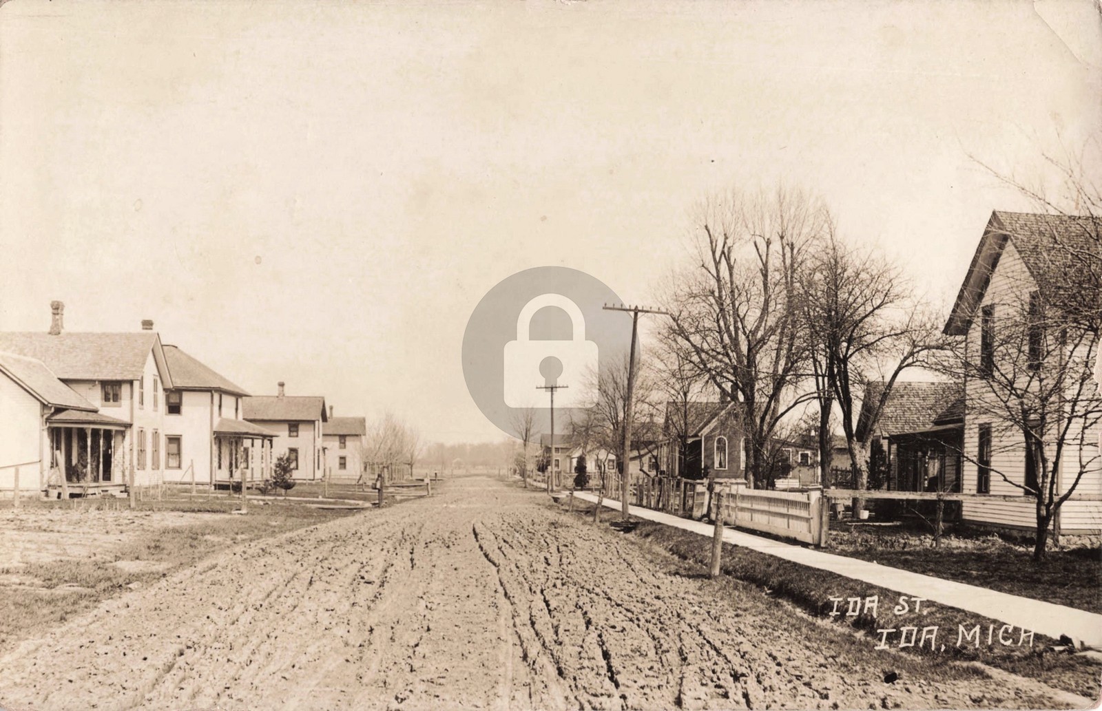Street View Ida St., Ida MI Michigan 1913 RPPC Photo Postcard COPY