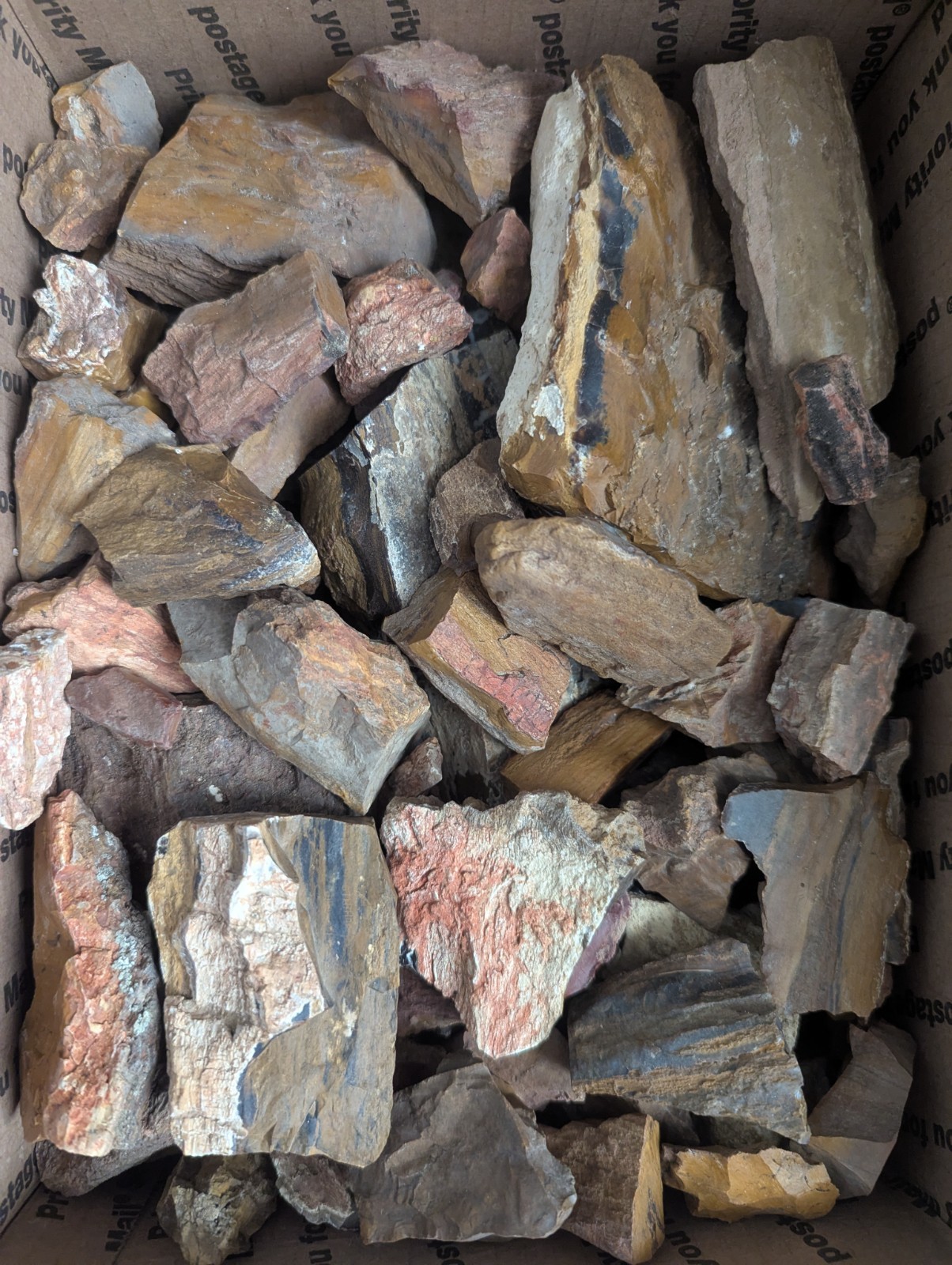25+ lb Colorado Petrified Wood Bulk Rough – Parker Divide Med Flat Rate Box Full
