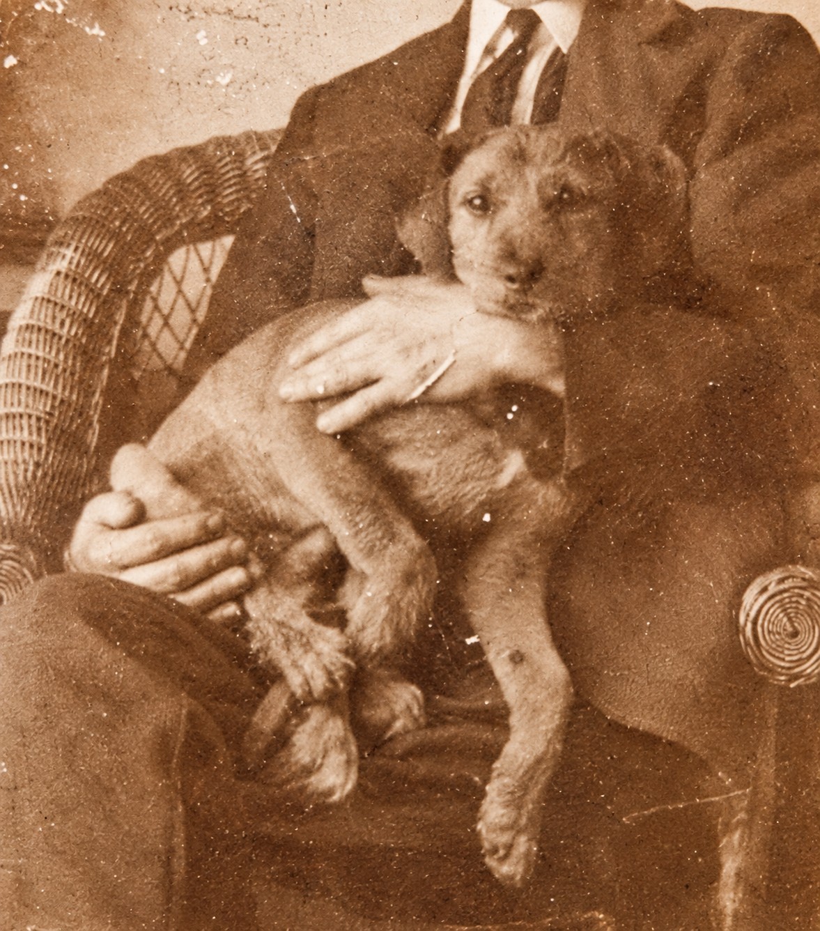 Antique c.1900 Cabinet Card Photo Man Nuzzling His Little Dog – Ornate Black...