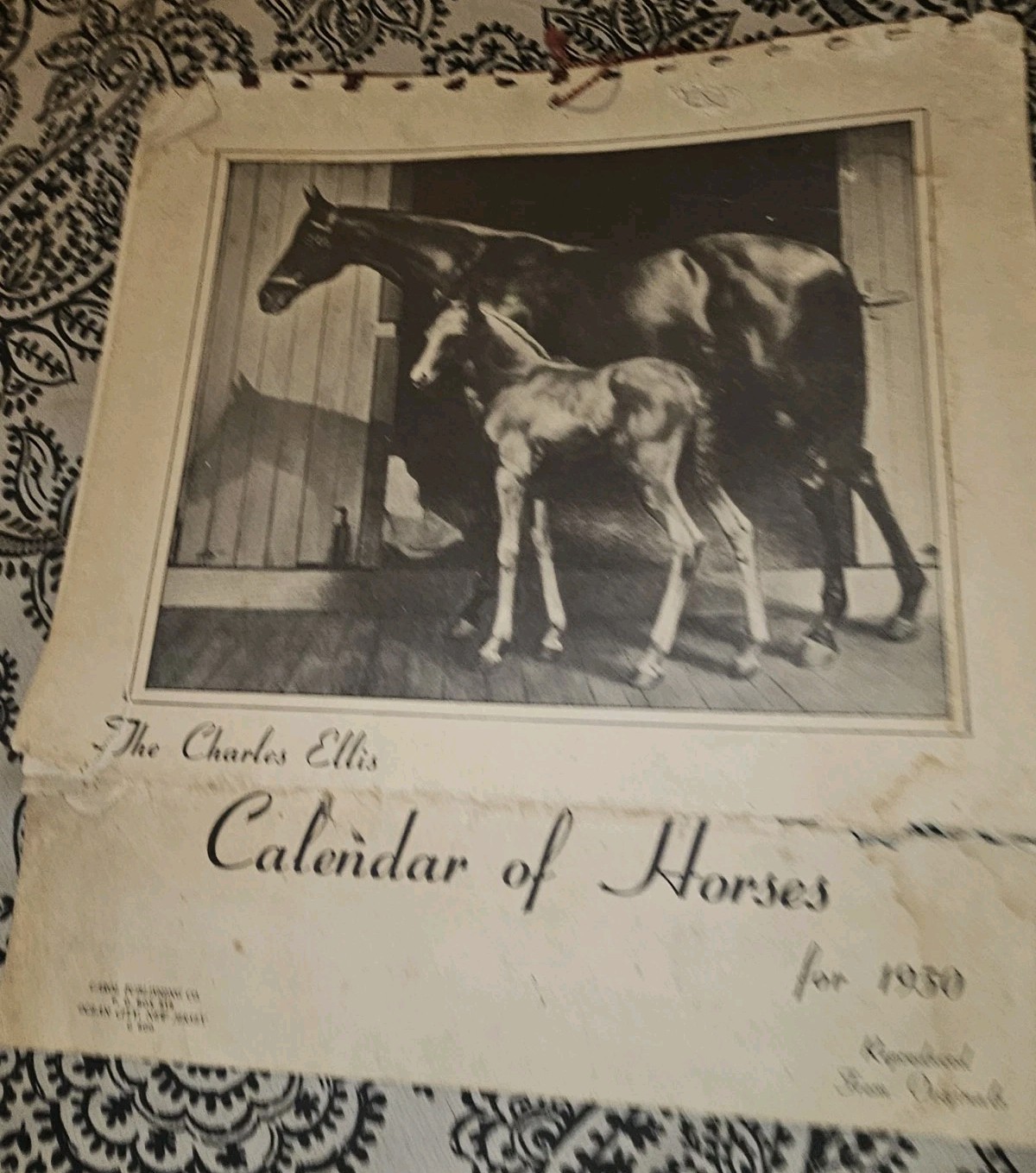 ​Vintage 1950 The Charles Ellis Calendar of Horses Equine Art Prints Complete