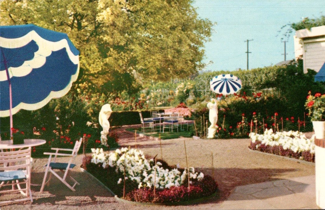 Lambert Gardens Portland Oregon Zinnia Garden c1950s Postcard