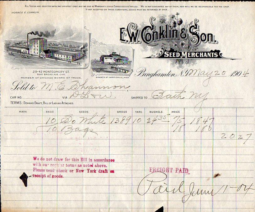 1904 E W CONKLIN & SON*SEED MERCHANTS*BINGHAMTON NEW YORK*BILLHEAD*NICE GRAPHICS