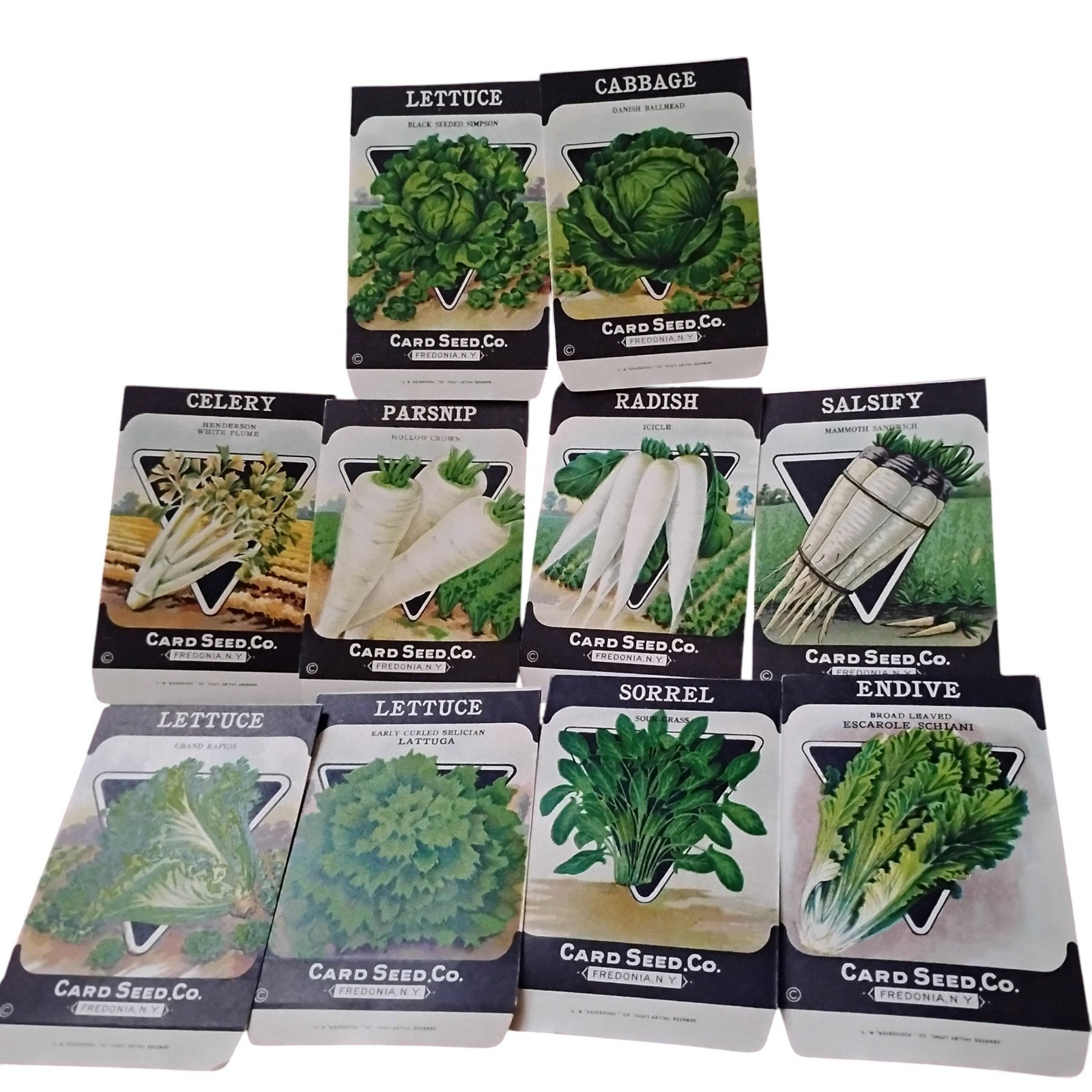 10 Vintage Card Seed Co Vegetable Seed Packets Fredonia NY Garden Ephemera Art