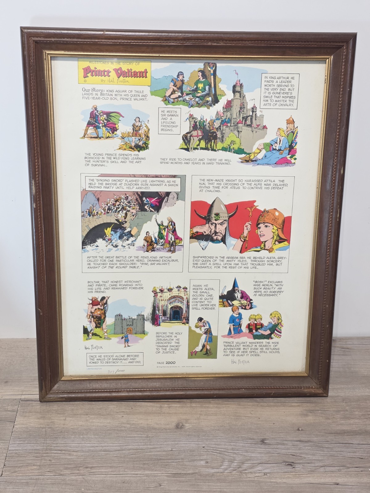 Prince Valiant 1975 Signed Ltd. Ed. Print by Hal Foster Framed