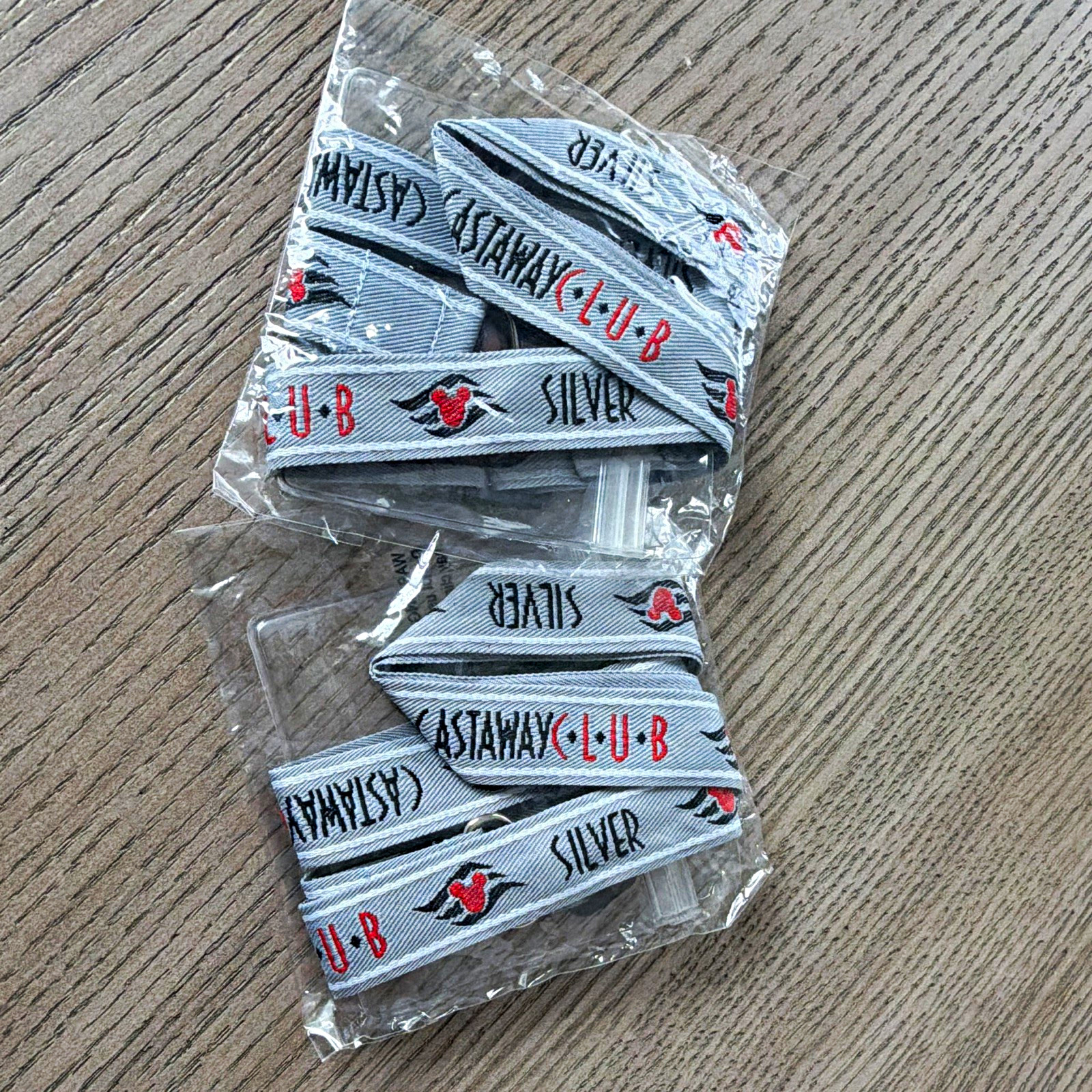New in Package Set of 2 Disney Castaway Club Silver Cruise Ship Lanyards