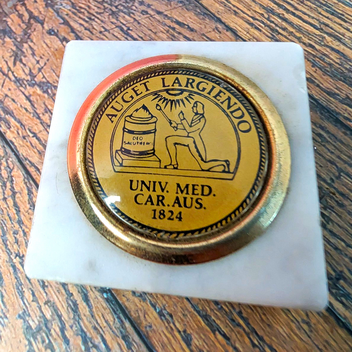 Vintage MUSC Medical University of S Carolina Marble Paperweight Gold Medallion
