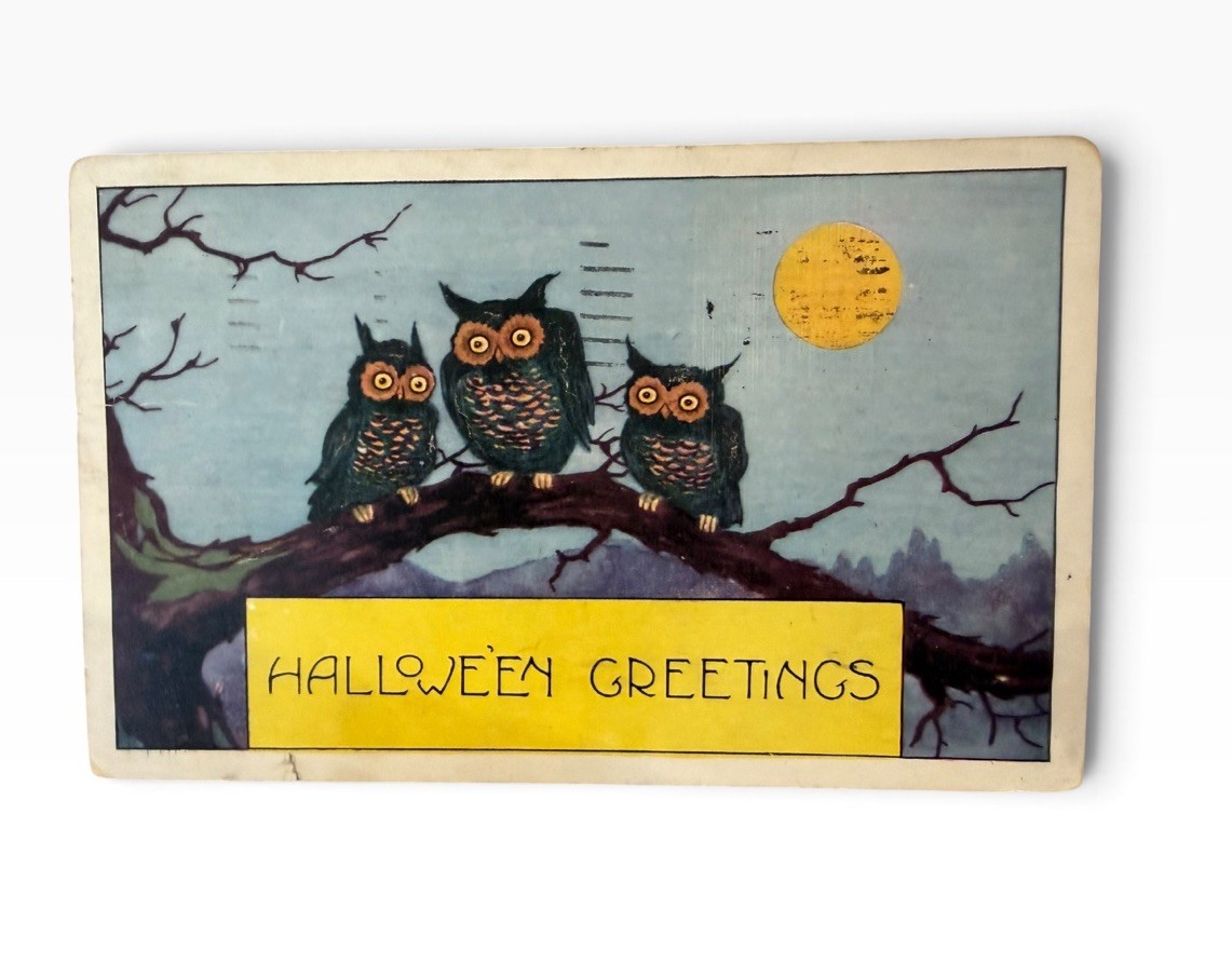 Antique 1920 Halloween Postcard 3 Owls at Night With Moon Halloween Greetings