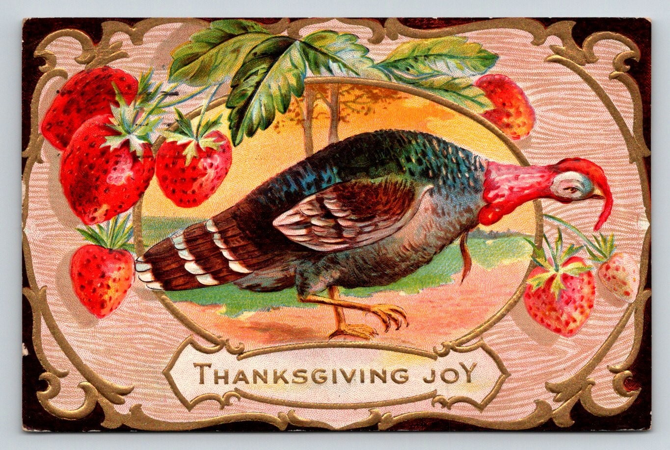 1911 Thanksgiving Joy Turkey & Strawberries Embossed Postcard FREDONIA NY
