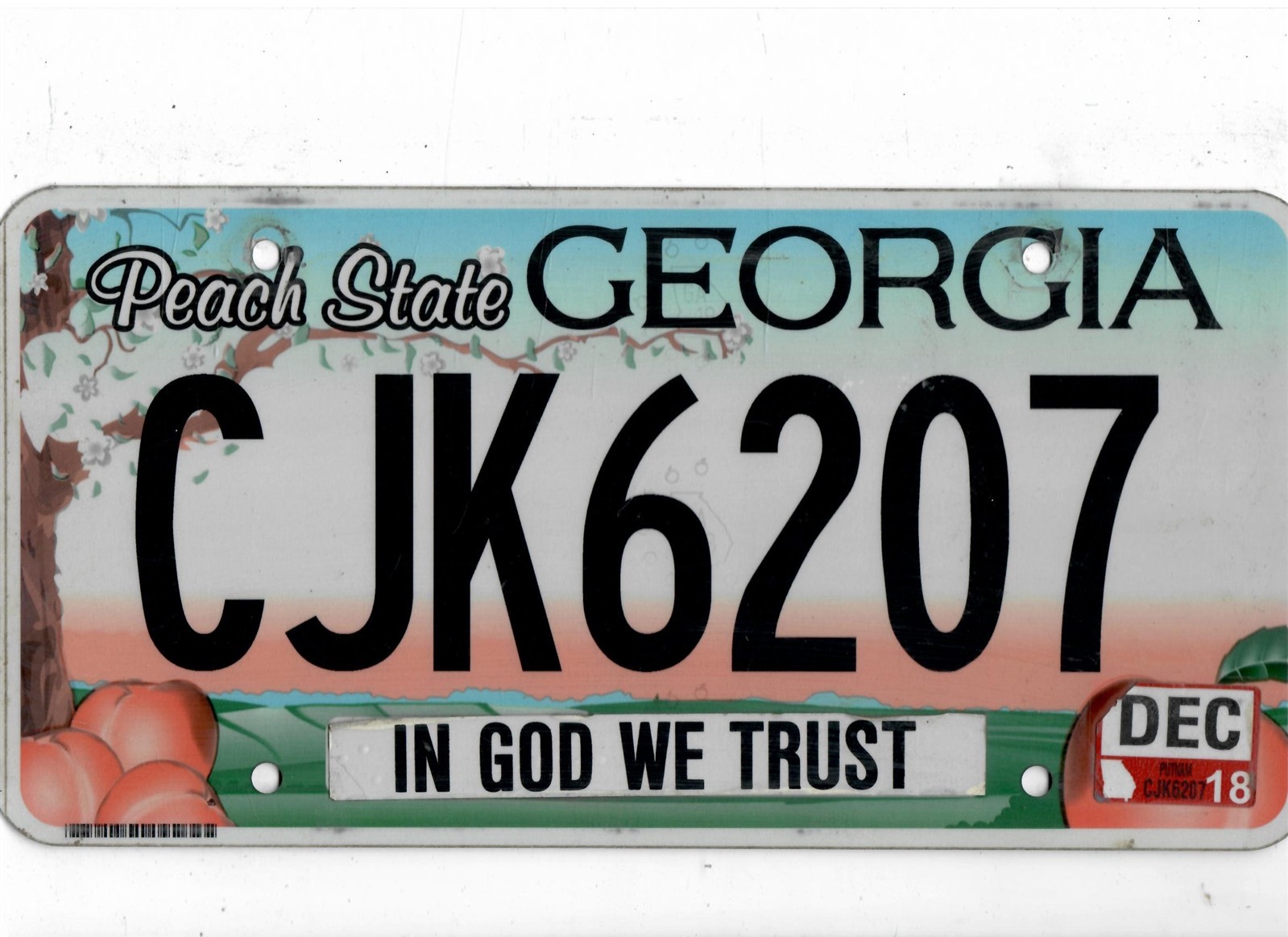 GEORGIA passenger 2018 license plate \