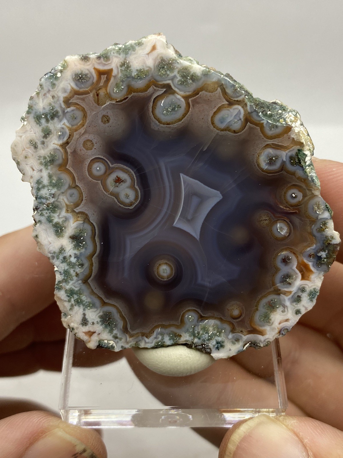 Coyamito Orbicular Agate From Chihuahua, Mexico. Mirror Polished Mexico