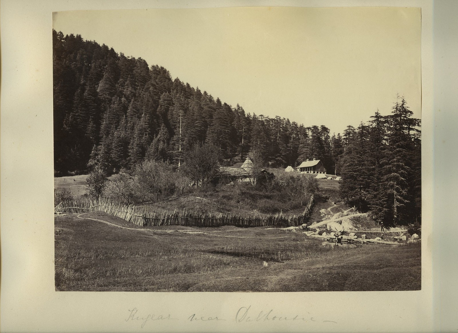 Khajear Dalhousie India Hill Station Forest Landscape c1880s VTG Photo