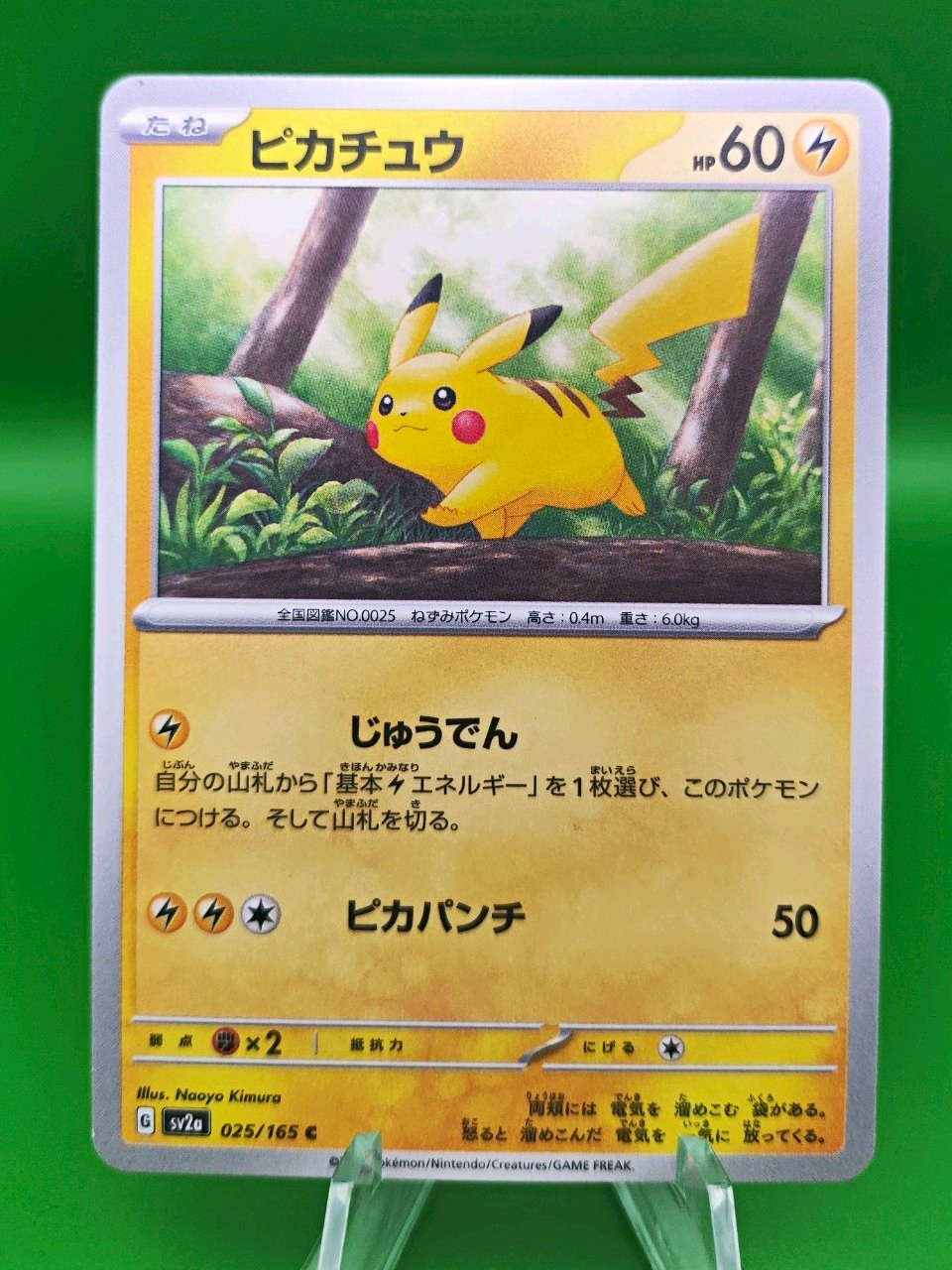 Pokemon TCG Pikachu 025/165 Sv2a 151 Common JP 60KP Electric Pokemon NM