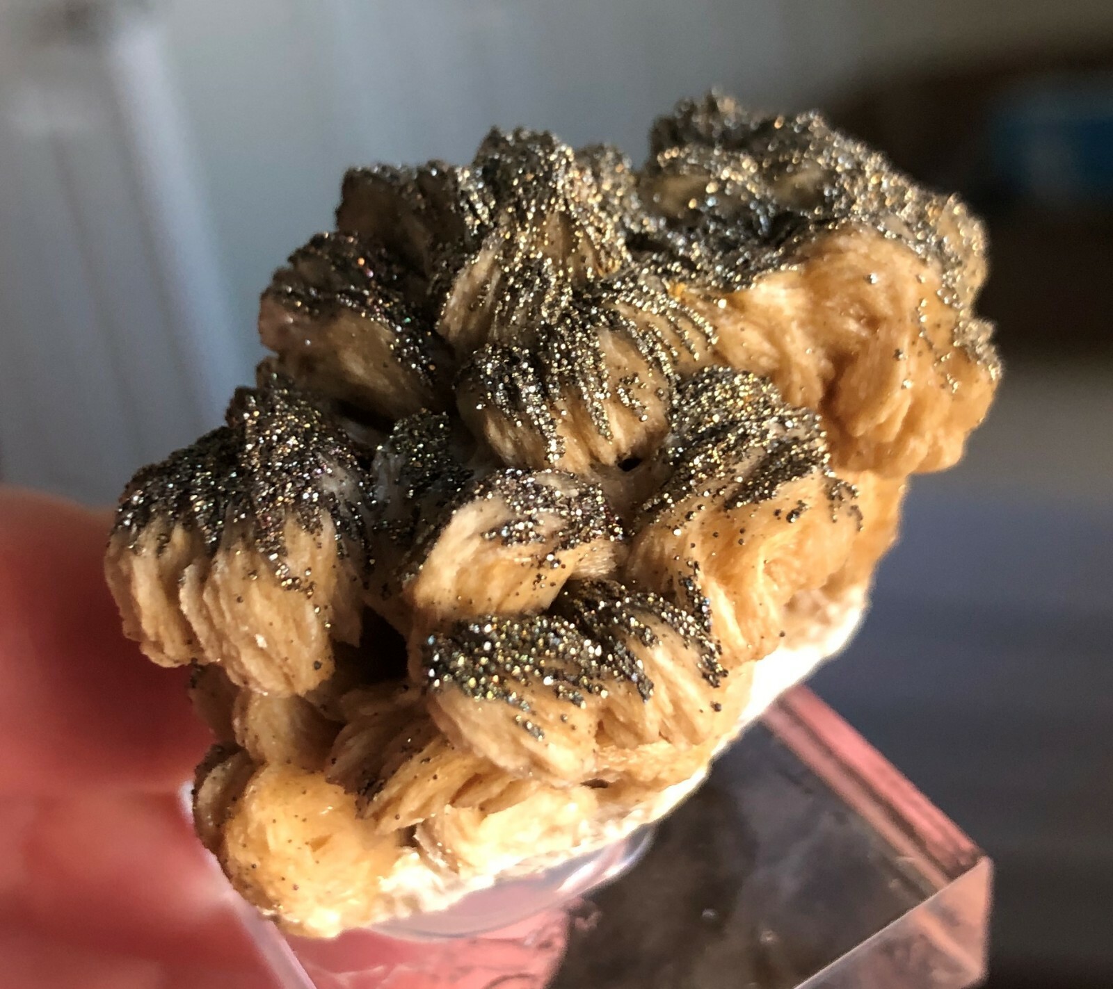 Fine Barite (Baryte) with Pyrite, Lubin Mine, Poland