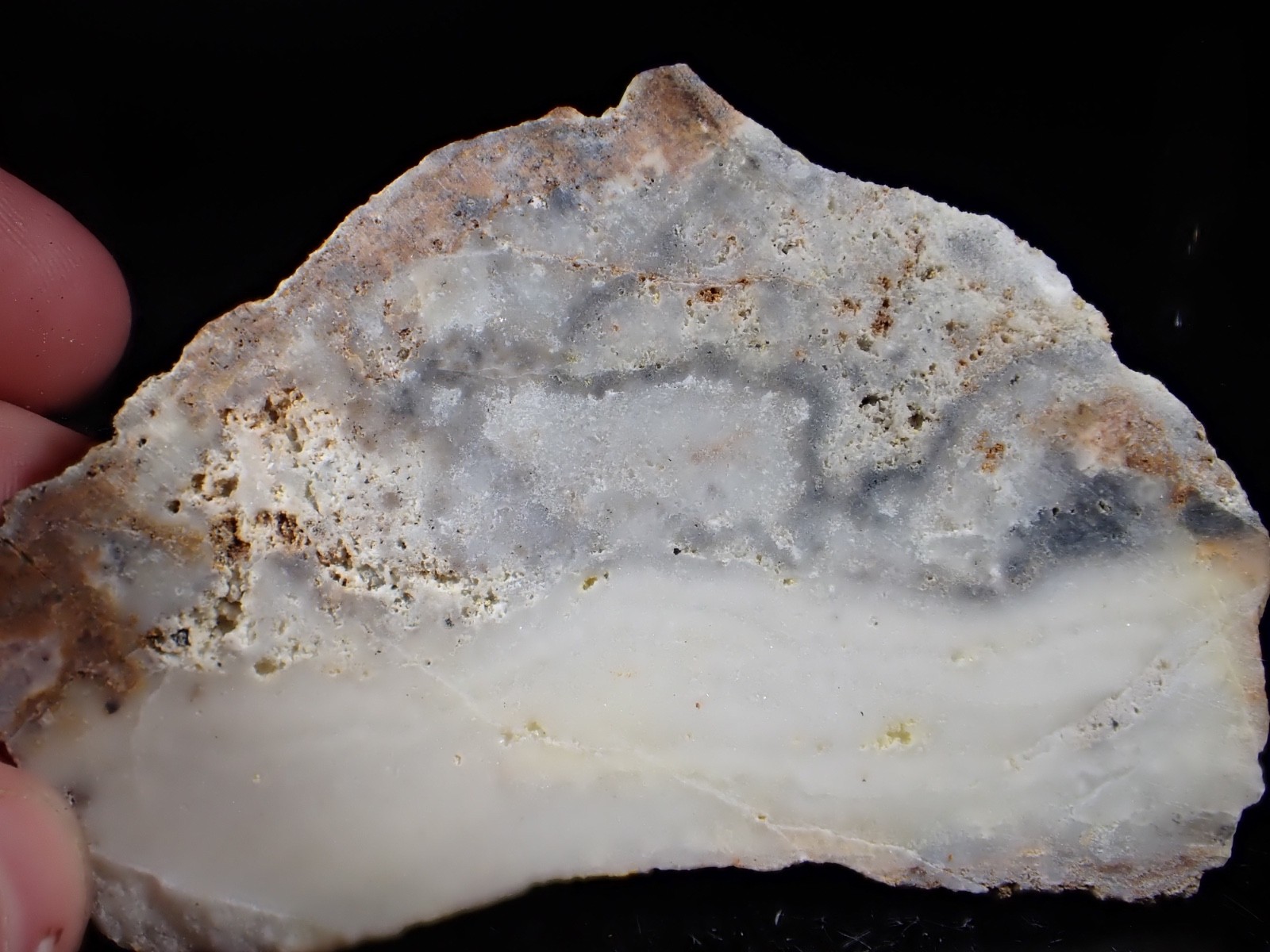 Rare Acanthite & Polybasite Midway Mine Tonopah Dist. Nye Co Nevada