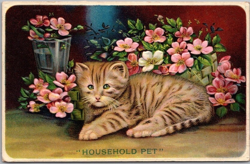 c1910s CAT Embossed Greetings Postcard \