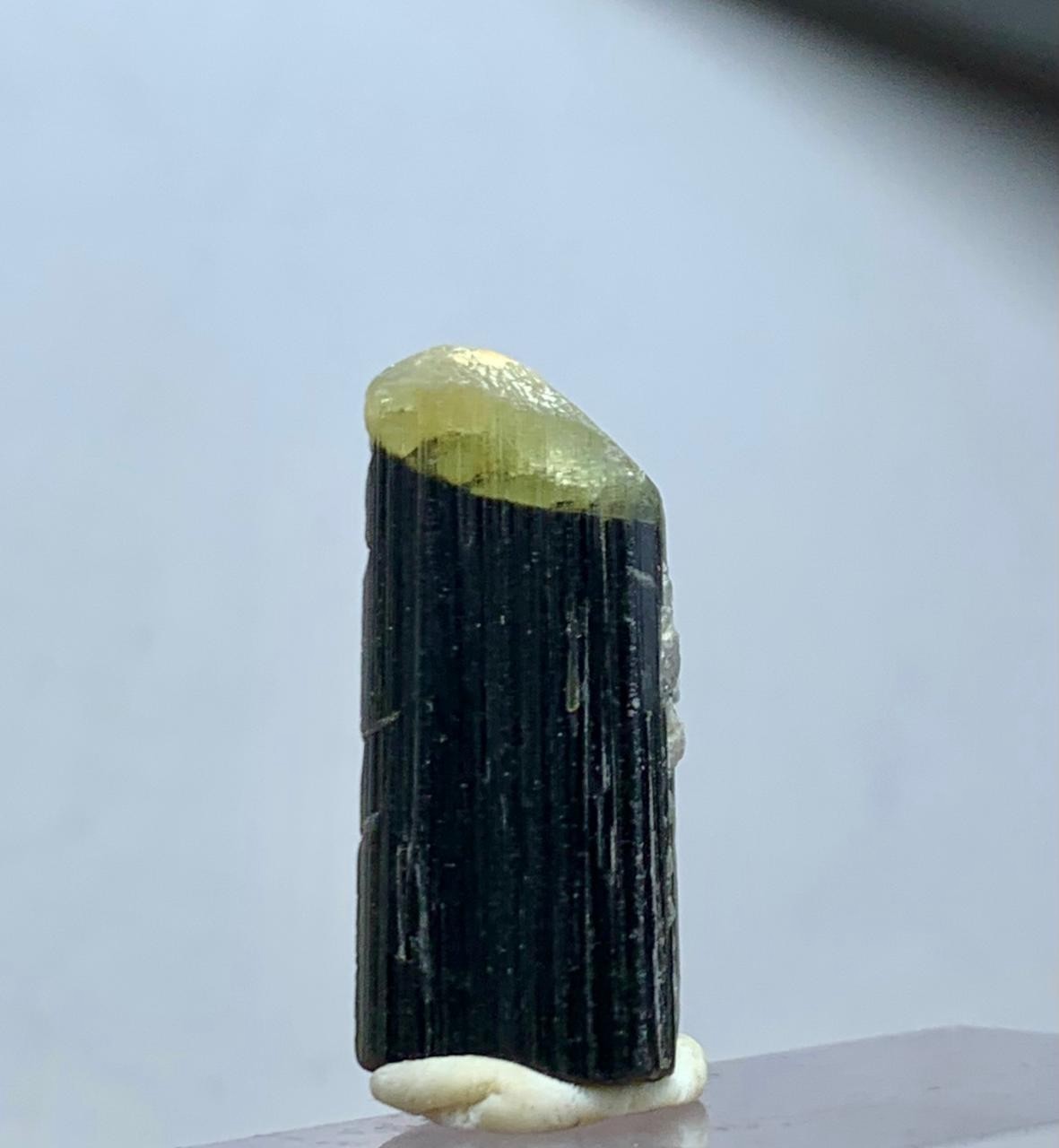 19 Carat Tarminated Green Cap Tourmaline Crystal with Albite from Afghanistan