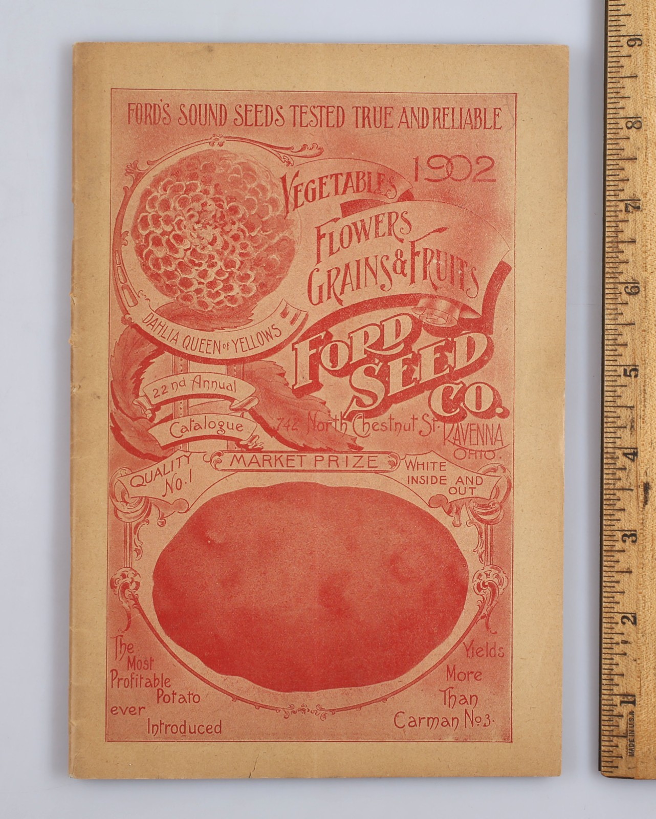 Vintage 1902 Ford Seed Co. Catalog Flowers Grains Vegetables Ravenna Ohio