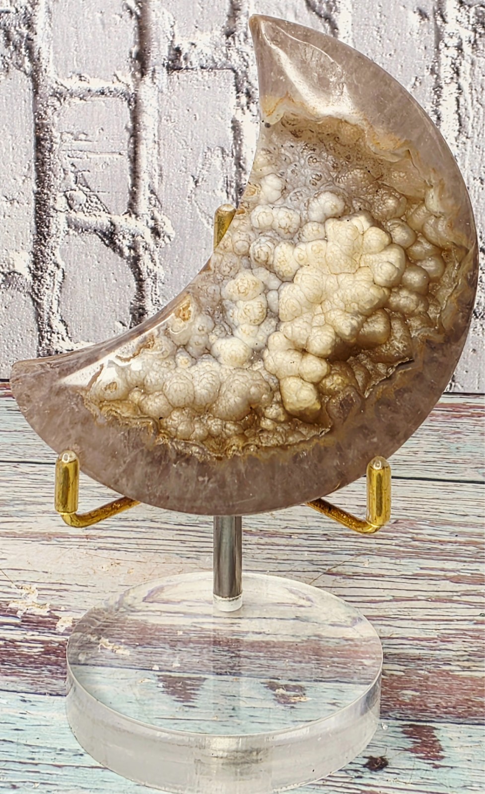 🌙 Rare Crescent Moon-Shaped Polished Ammonite Fossil Botryoidal Mineralization