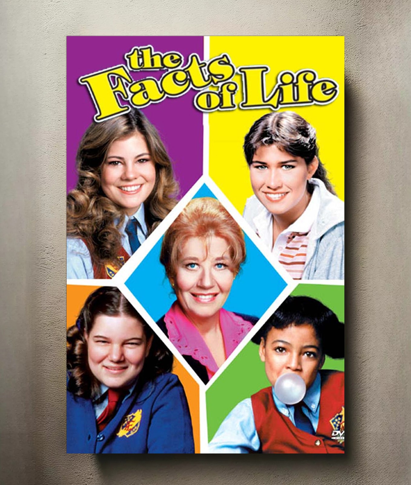 The Facts of Life 8x12 Metal TV Show Poster Sign
