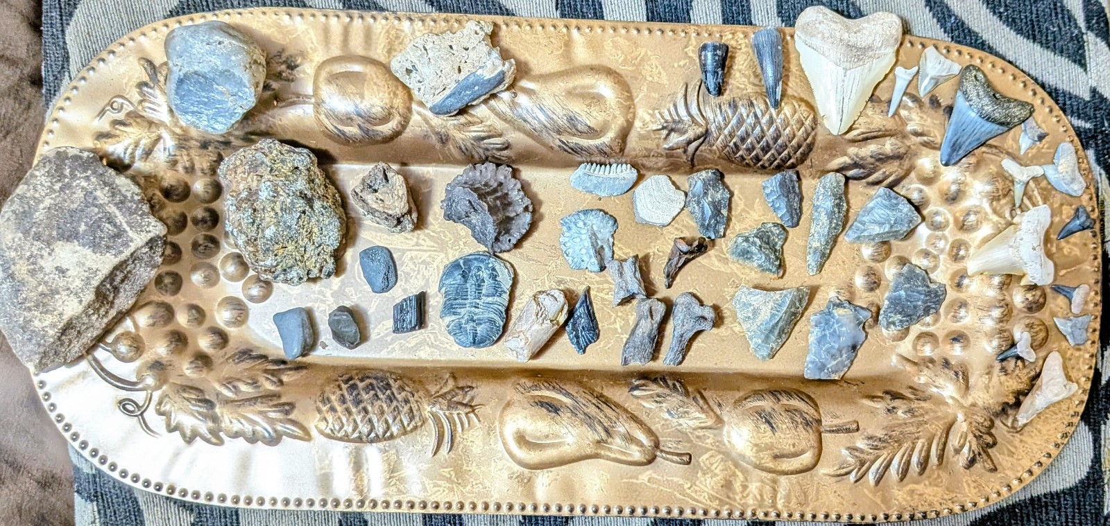 42pc Florida & Moroccan Fossil & Mineral Lot - Megalodon, Native Artifact, Coral