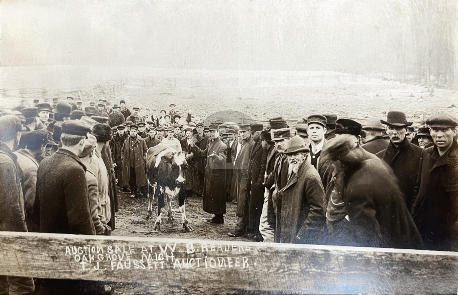 Oak Grove MI Michigan Farm Auction Cows RPPC Photo Postcard COPY
