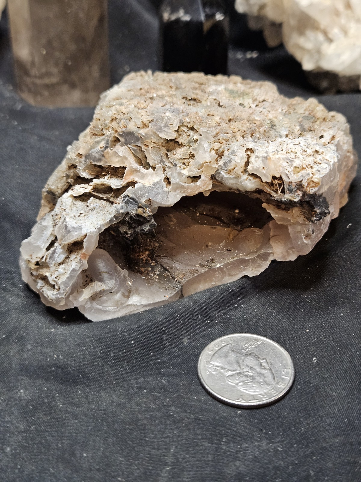 Pink Limb Cast w/ Botryoidal and Dendric Specimen Natural Form (14oz) (PNW Item)