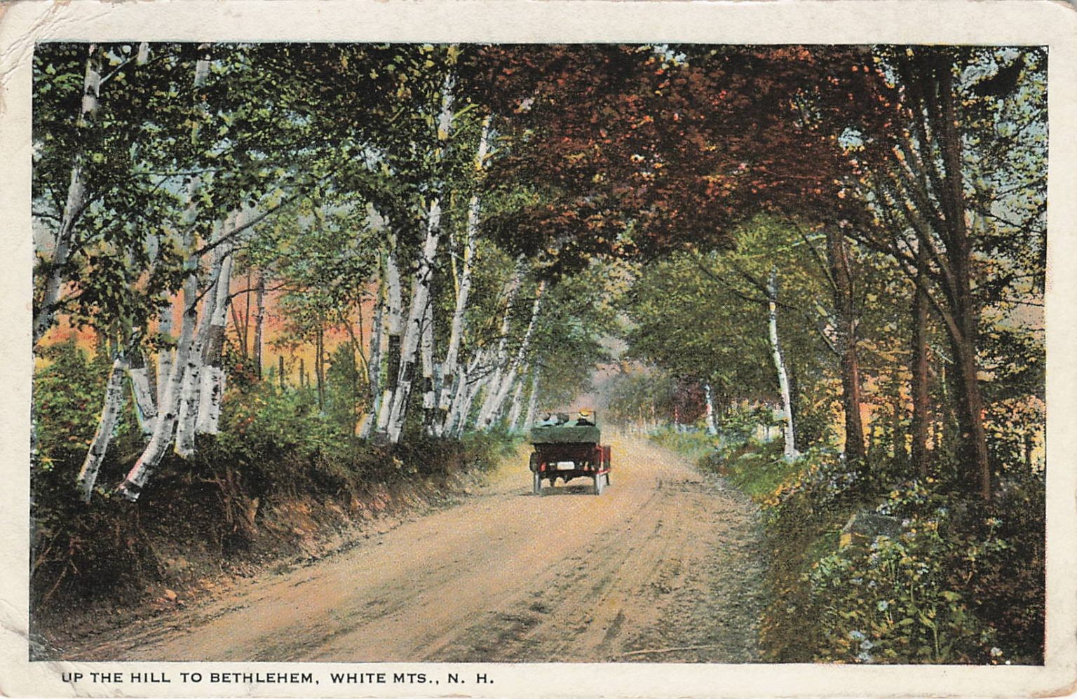 1920 Bethlehem NH White Mountains Birch Road Horse Carriage Postcard