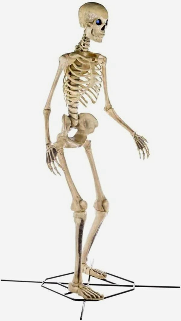 12 ft Life-Size Poseable Skeleton Halloween Prop w/ Stand, Plastic Beige