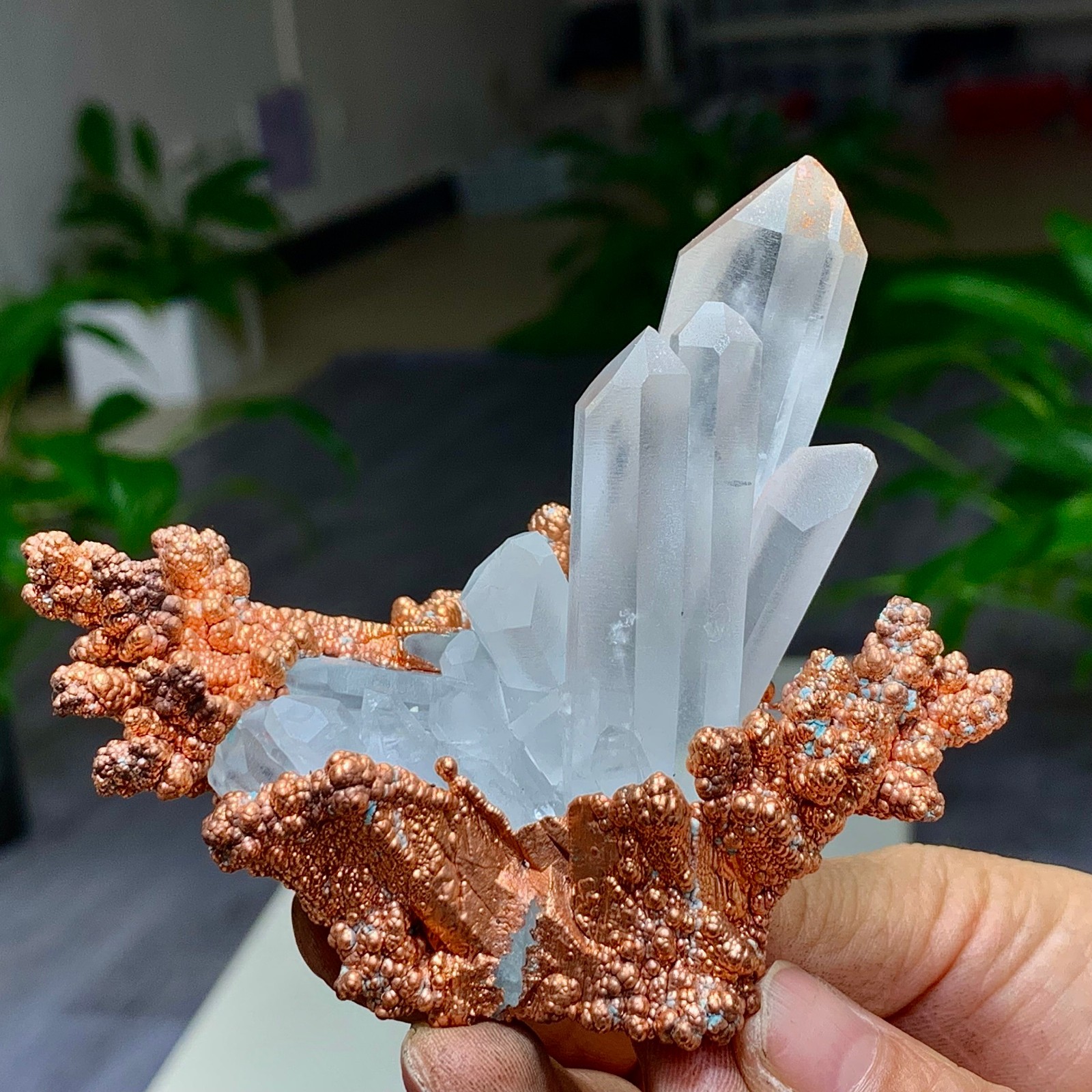 222G Natural transparent purple cubic fluorite mineral crystal sample/China