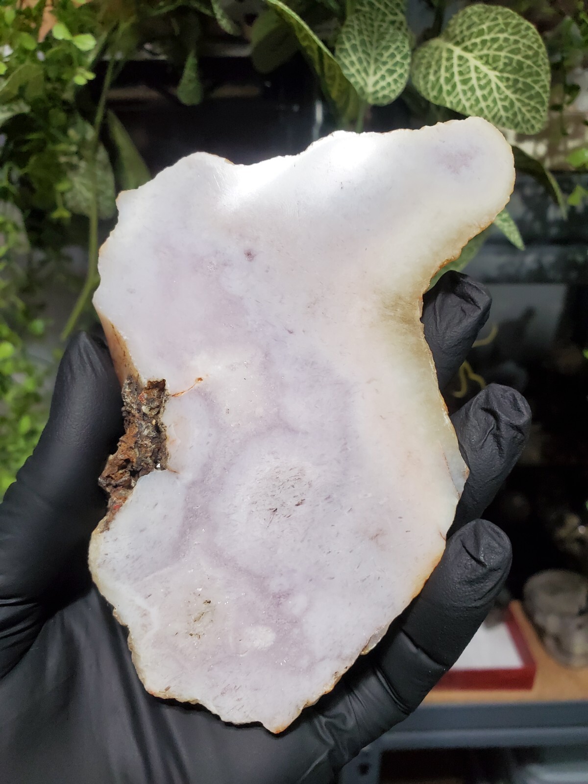 214G Pink Flower Agate Crystal Slab Slice Natural Stone Healing Decor Chakra
