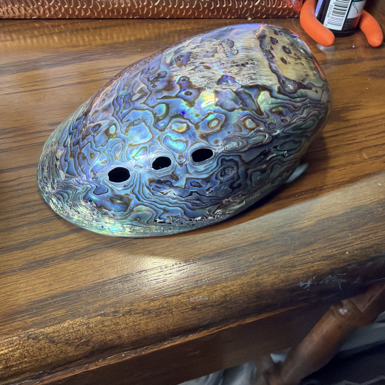 Abalone Shell Polished \