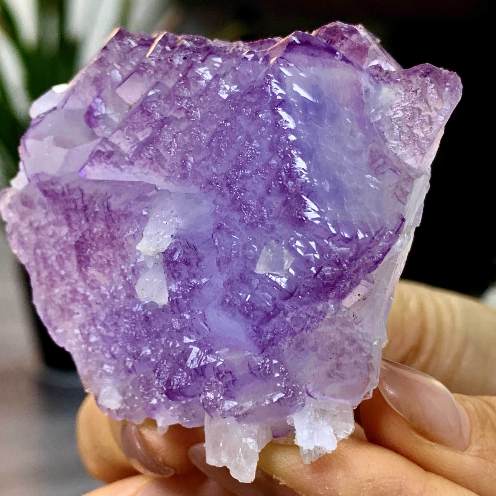 127G Natural fluorite Purple Blue cubic mineral crystal sample/yaogangxian
