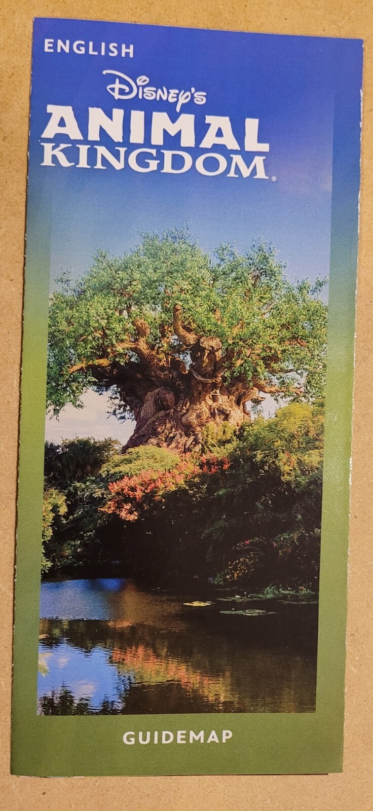 NEW 2023 Walt Disney World Disney's Animal Kingdom Theme Park Map ENGLISH 031823