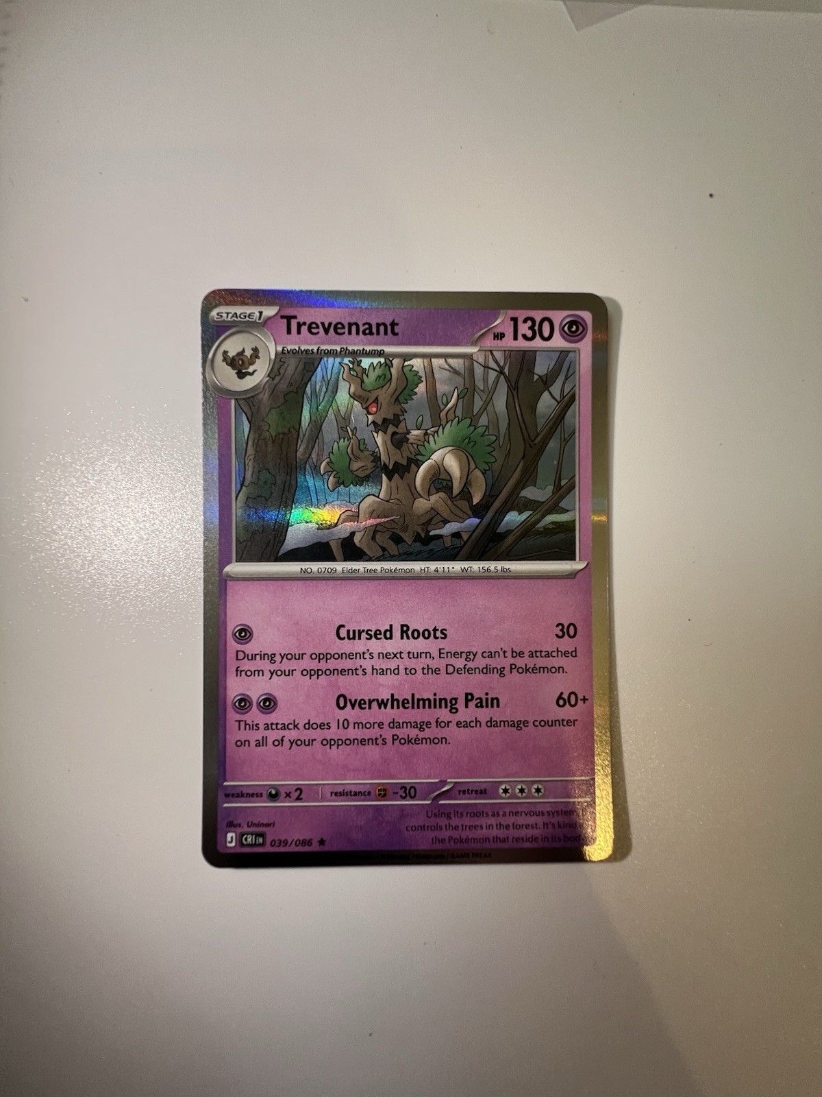 Trevenant (Holo) 039/086 - Pokemon TVG Chaos Rising - NM