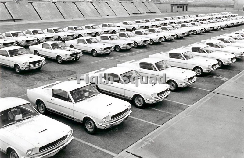 Picture Photo PLANT OF SHELBY FORD MUSTANG GT 350s 8577