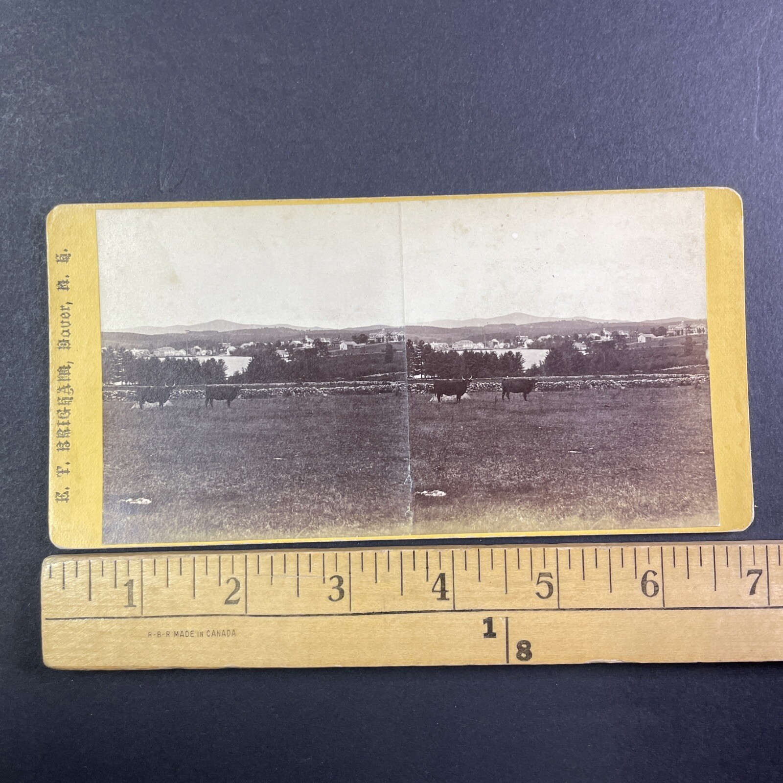 Dover New Hampshire Stereoview E. T. Brigham Landscape Cows Late 1800s