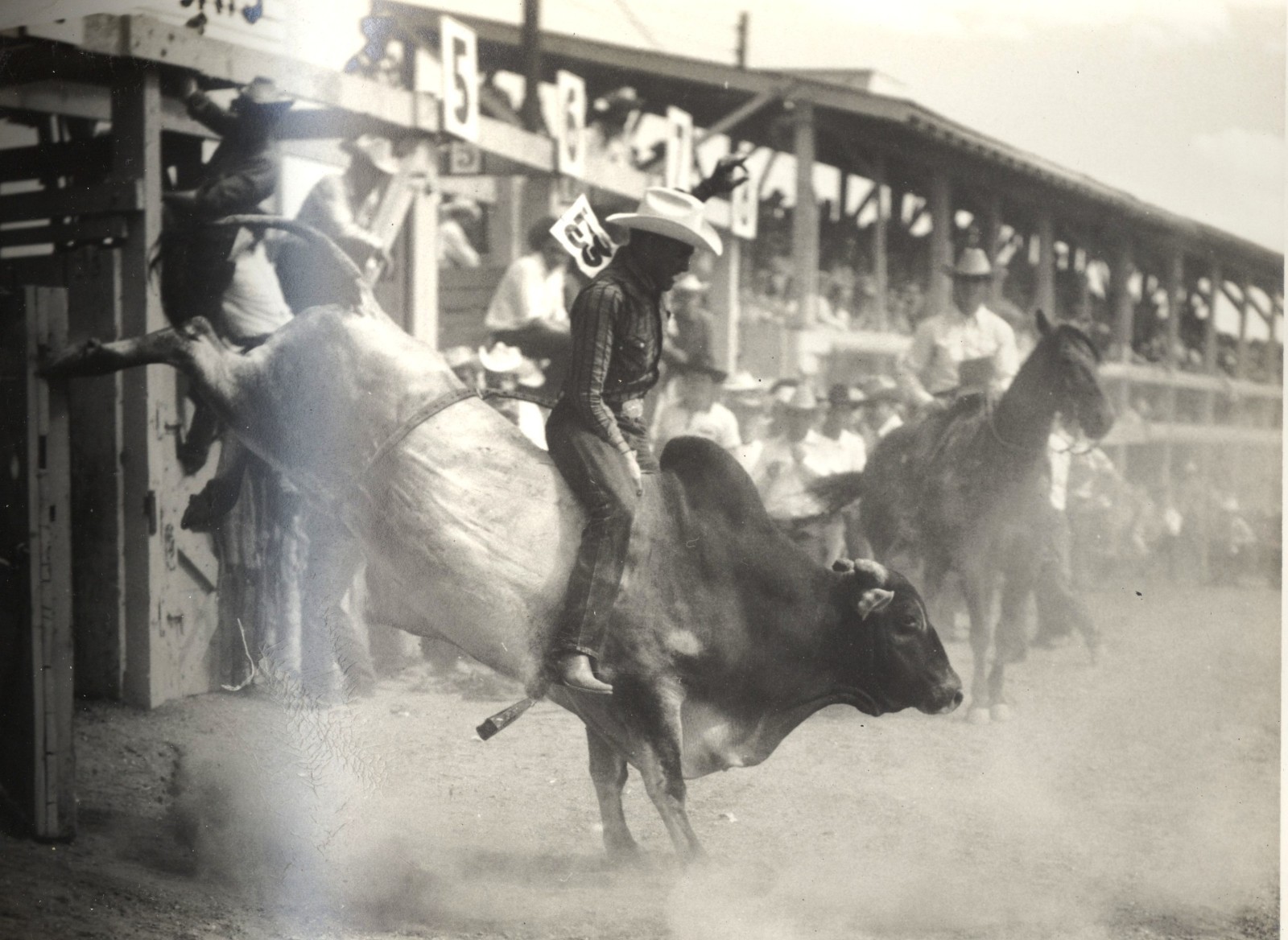 Collection of 45 Cheyenne Frontier Days 1954 8 x 10 Photos Parade/Rodeo/Culture