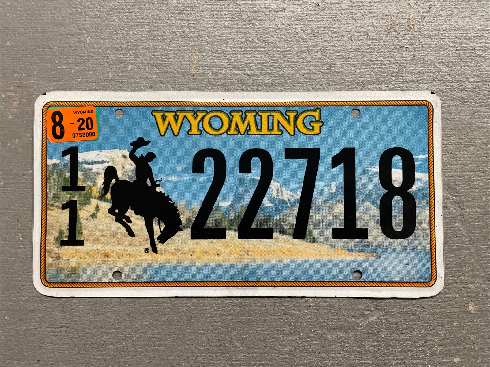 WYOMING LICENSE PLATE BUCKING BRONCO MOUNTAINS 🏔️ RIVER RANDOM LETTERS/NUMBERS