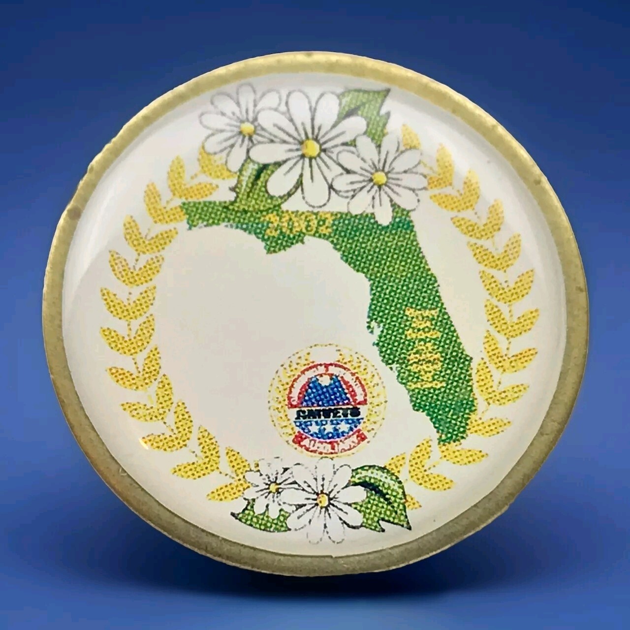 AMVETS Ladies Auxiliary Commemorative Pin Florida Map 1982 Vintage Americana