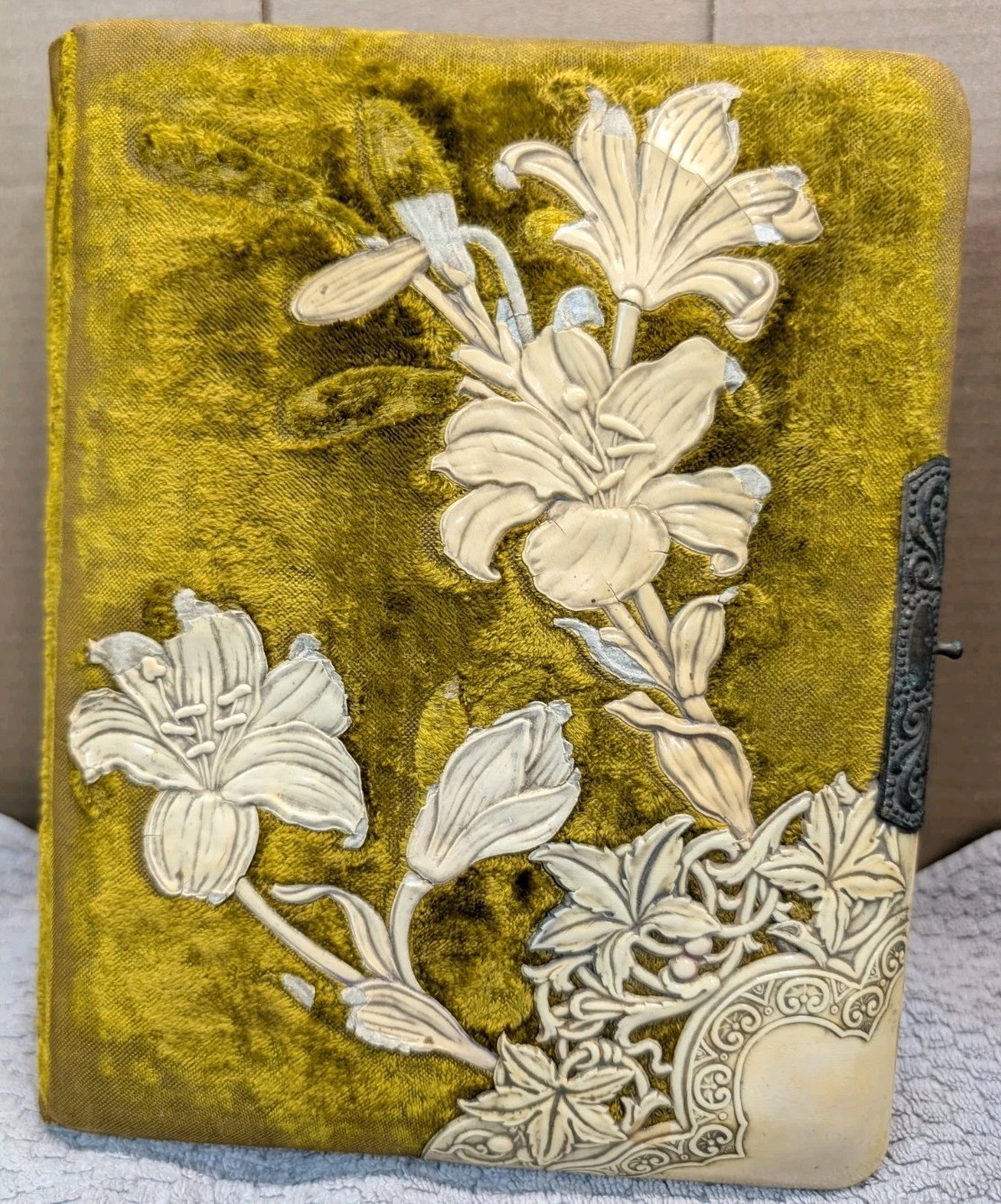 Antique Victorian Celluloid Velvet Photo Album 23 Cabinet Cards CDV Iowa Photos