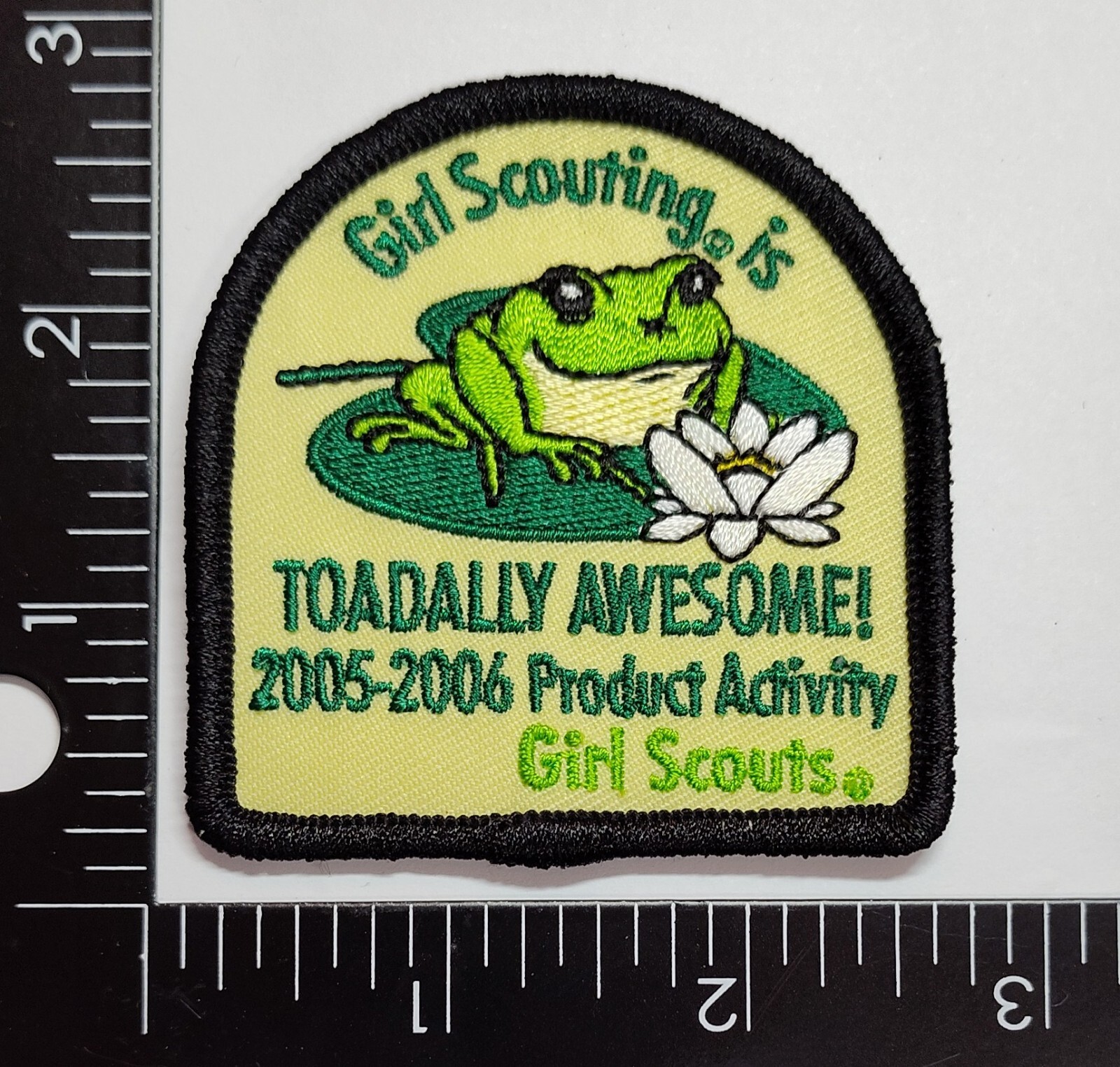 Girl Scout Patch Girl Scouting Is Toadally Awesome 2005-2006  New