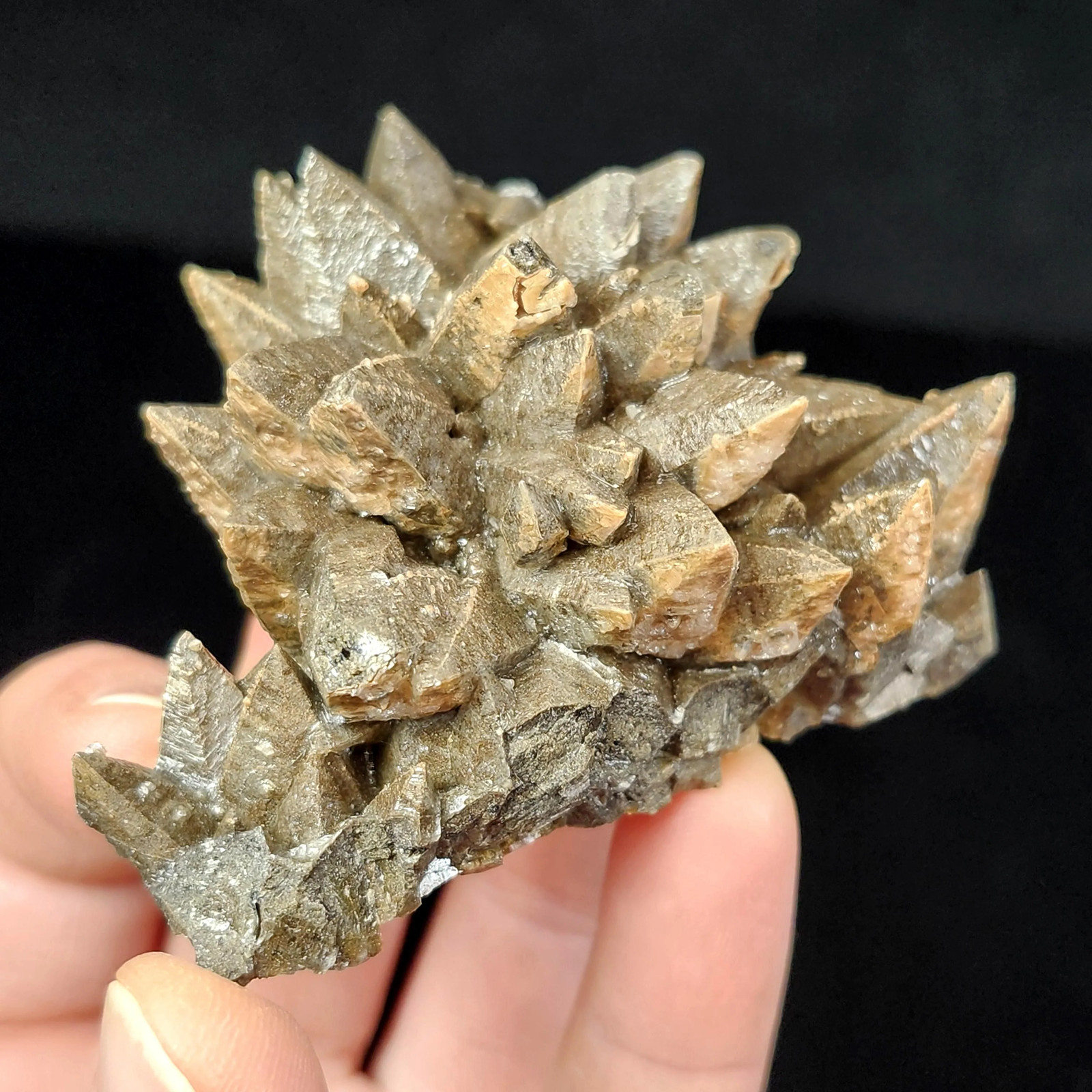 Chocolate Dogtooth Calcite
