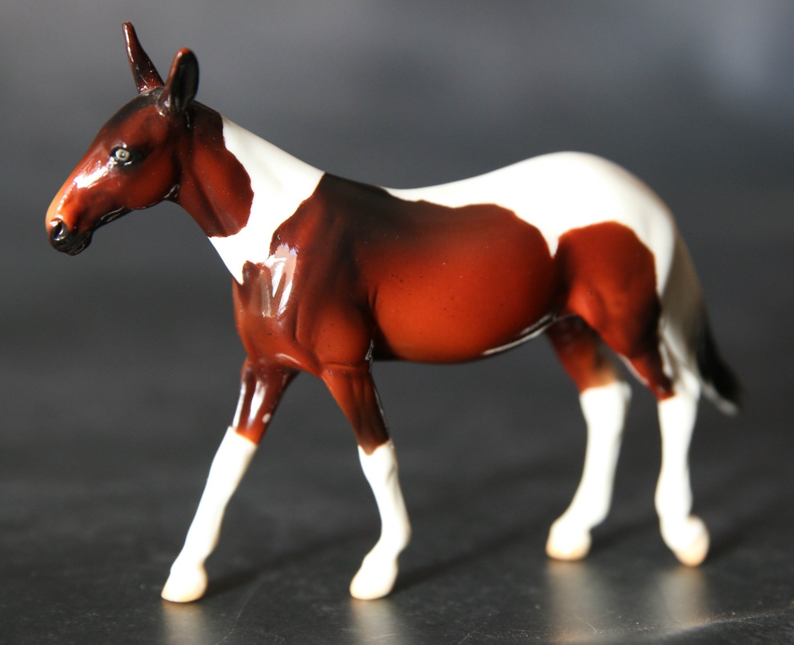 Peter Stone Chip Mule First Release 2008 Bay Pinto Glossy Nice LE 100