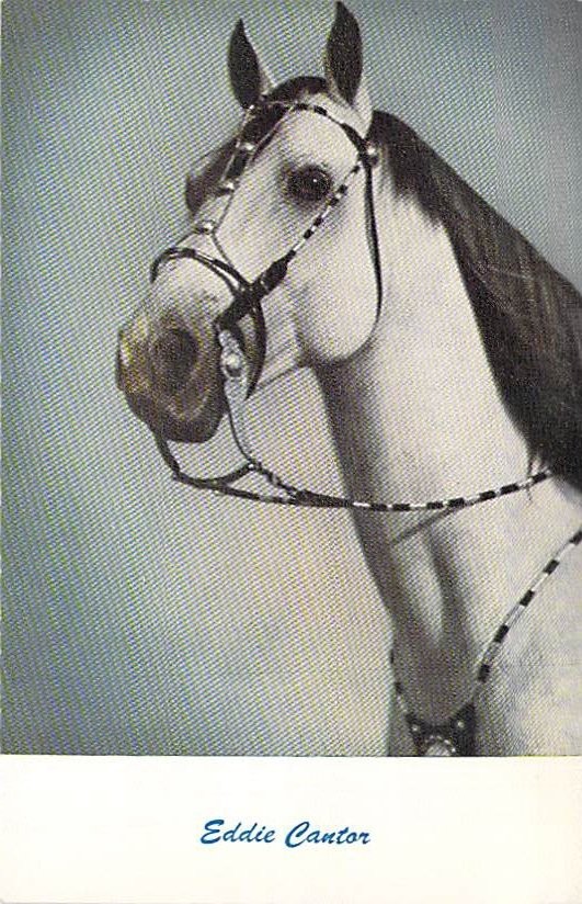 Eddie Cantor White Horse Portrait Bridle Standard Arts Postcard