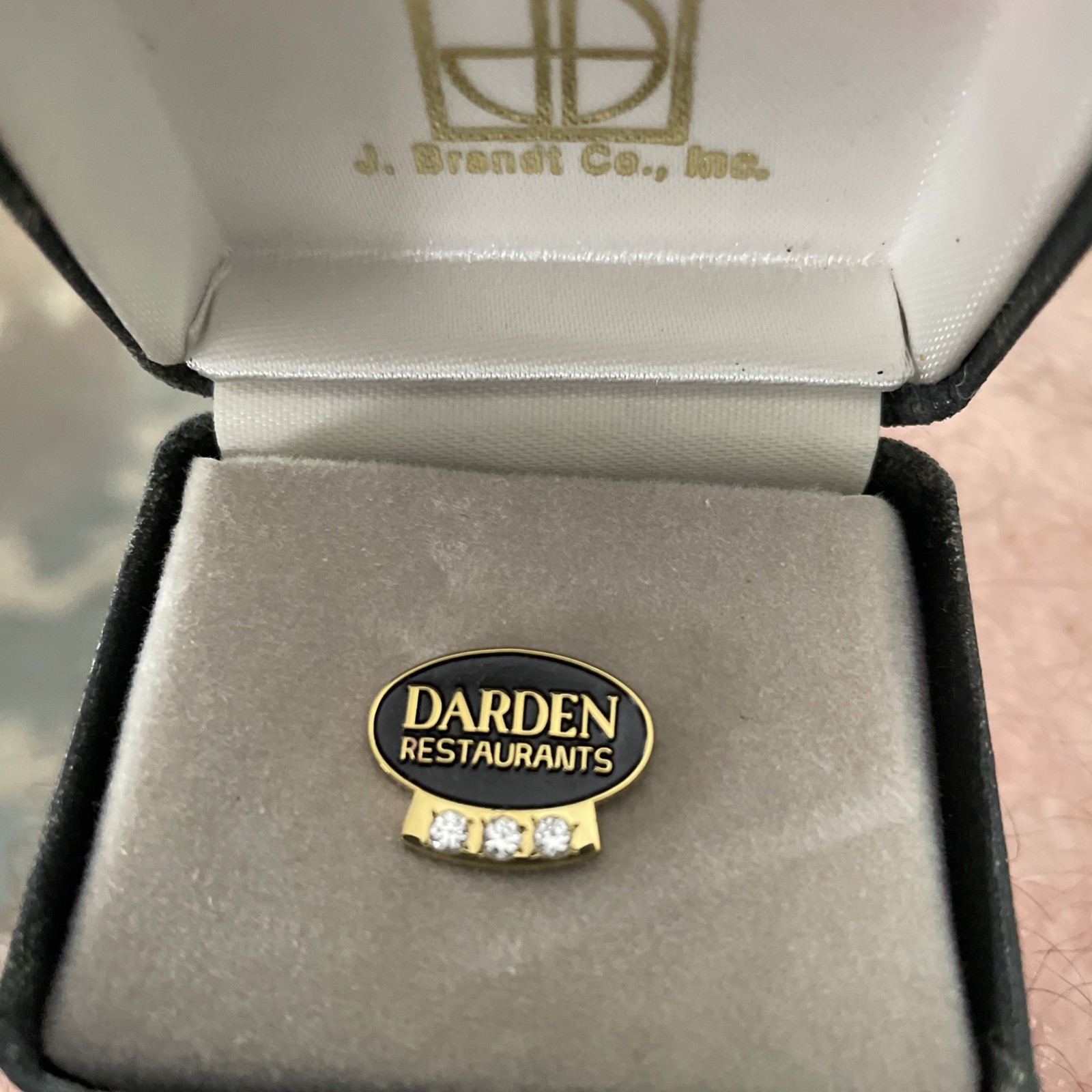 Darden Restaurants Anniversary Diamond Lapel Pin
