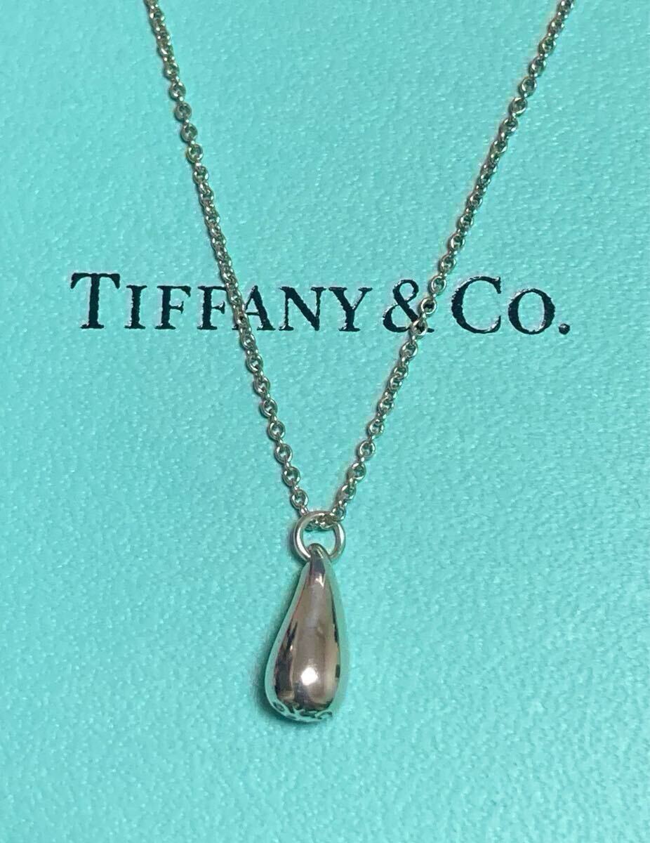 Tiffany & Co. Silver Drop Necklace 40cm Authentic Jewelry No Fake