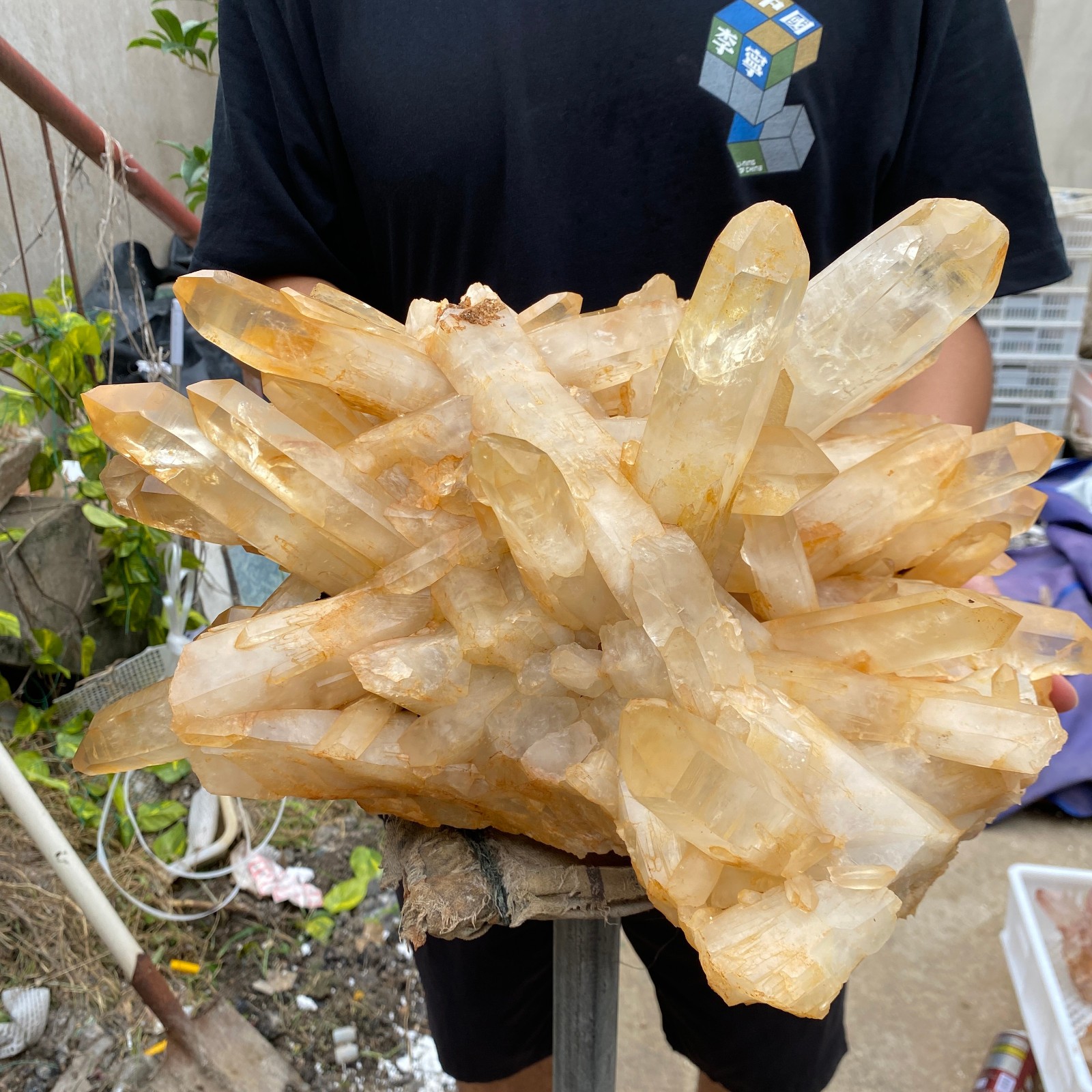 51.9lb Natural clear white crystal quartz cluster rough mineral specimen